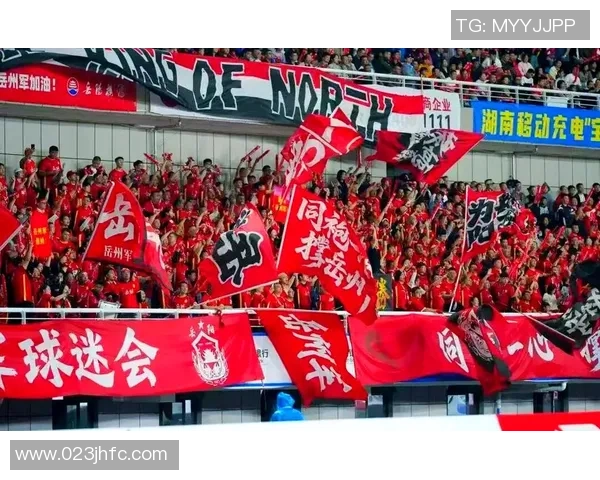 岳阳足球群热情汇聚球迷力量共同推动本地足球发展新篇章