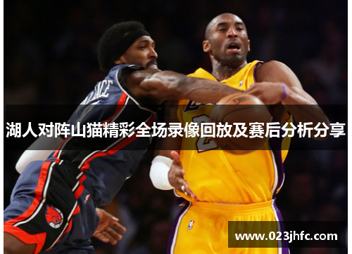 湖人对阵山猫精彩全场录像回放及赛后分析分享